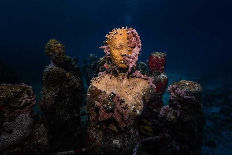 Isla Mujeres: MUSA and the Manchones Reef: 2 Tank Dive Tour - FAQ
