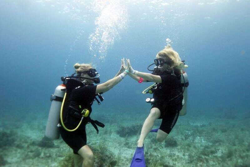 Isla Mujeres: PADI Open Water Diver Course - What to Expect from the Course