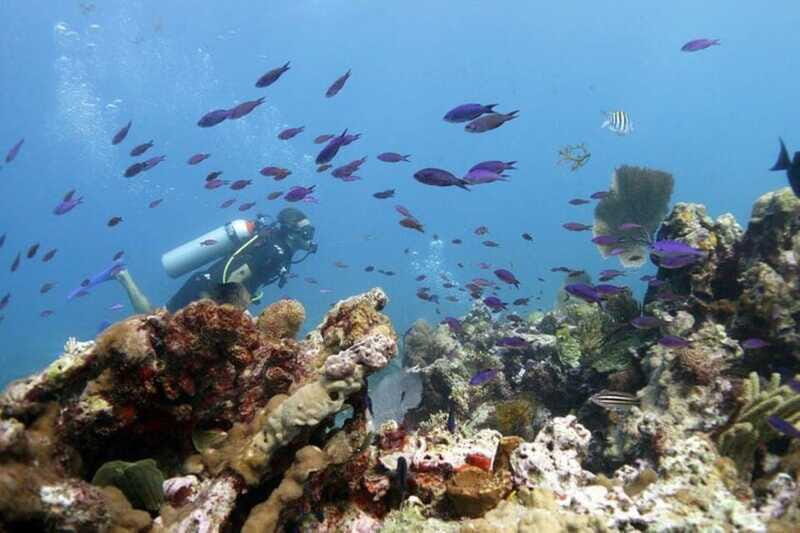 Isla Mujeres: PADI Open Water Diver Course - Final Thoughts