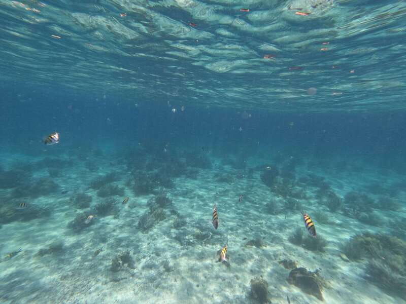 isla-mujeres-snorkeling-in-underwater-museum