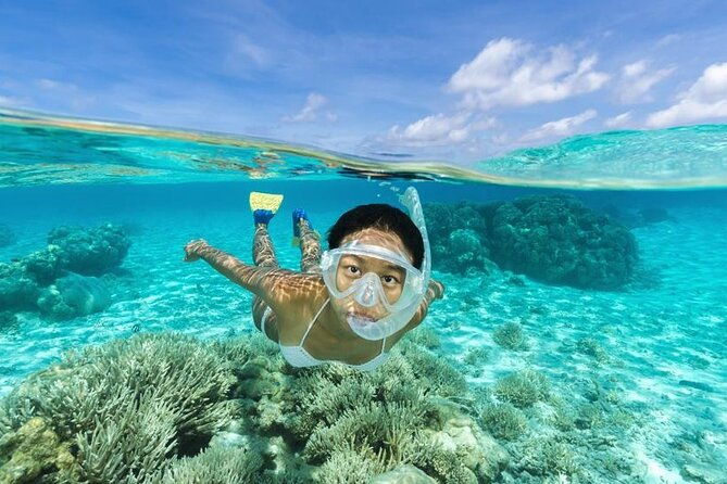 isla-saona-wildlife-safari-your-all-inclusive-escape