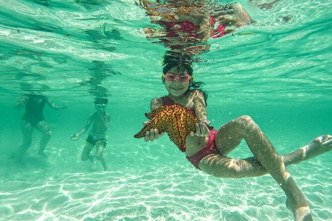 isla-saona-wildlife-safari-your-all-inclusive-escape