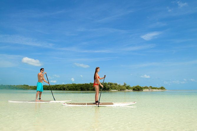 island-adventure-eco-tour-explore-key-wests-hidden-backcountry