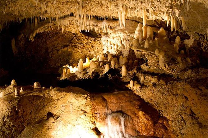 island-adventure-harrisons-cave-monkey-feeding-group-tour-or-private-tour