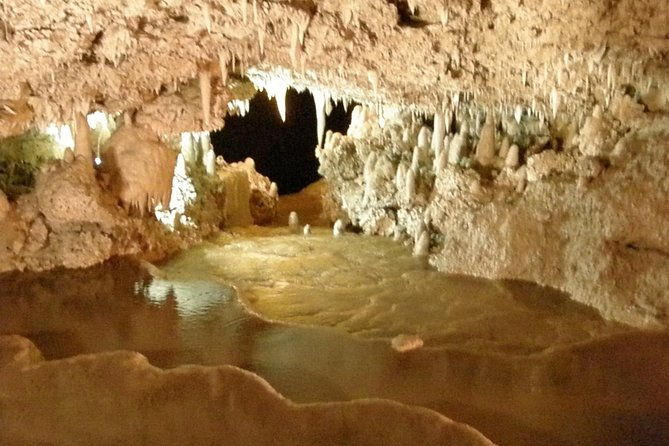 island-adventure-harrisons-cave-monkey-feeding-group-tour-or-private-tour