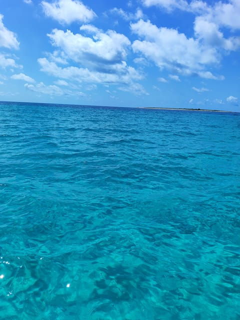 island-adventure-ugljan-by-speedboat
