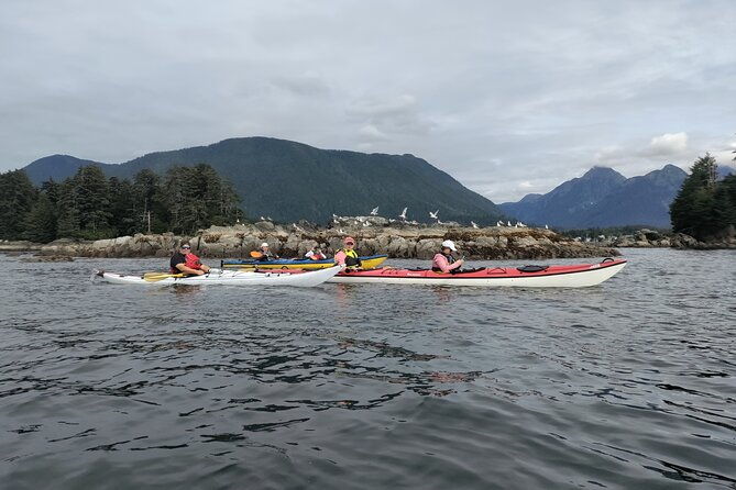 island-discovery-kayak-paddle-in-sitka-alaska