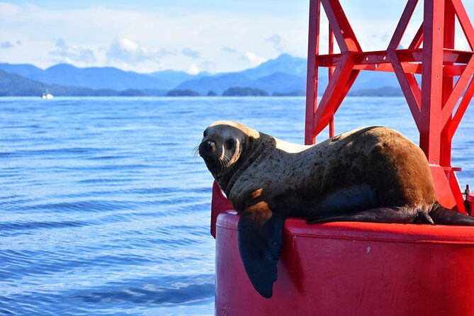 island-discovery-kayak-paddle-in-sitka-alaska