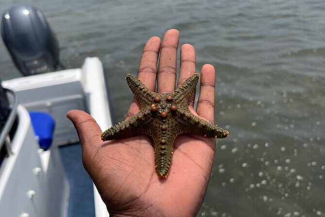 Island Escape day trip Speedboat Excursion in Maputo - Final Thoughts: Is It Worth It?