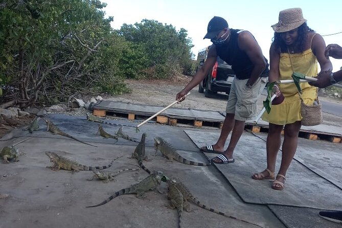 island-experience-of-st-maarten-st-martin