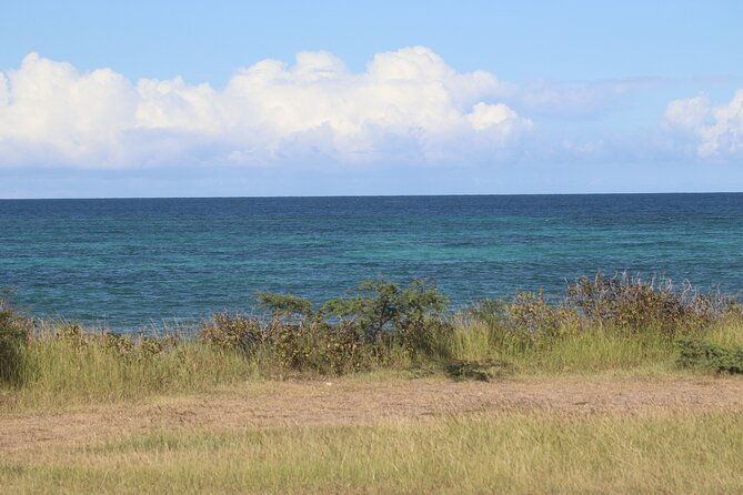 island-of-nevis-tour