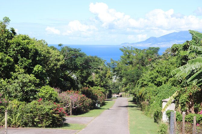 island-of-nevis-tour
