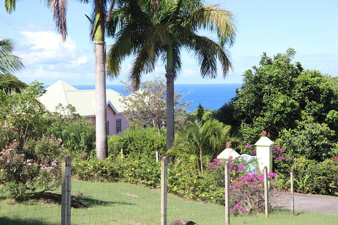 island-of-nevis-tour