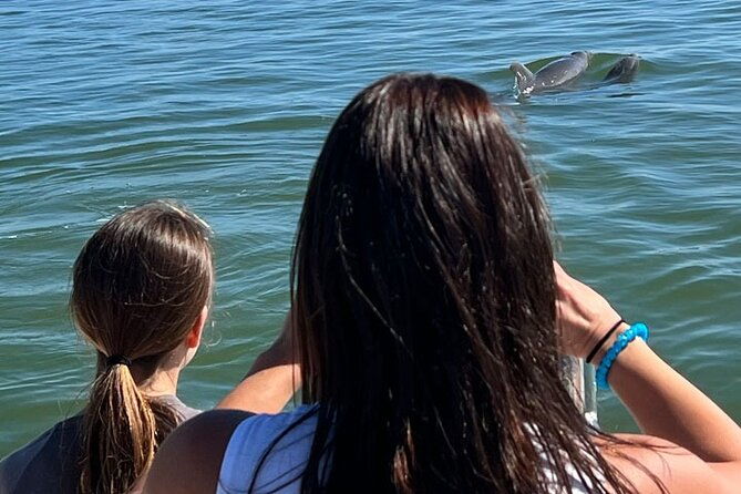 island-paradise-dolphin-shelling-birding-eco-boat-tour-2