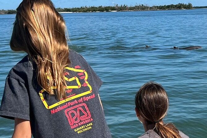 island-paradise-dolphin-shelling-birding-eco-boat-tour