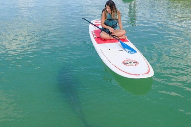 island-tour-by-pedal-hobie-kayak-sup-fort-myers-beach