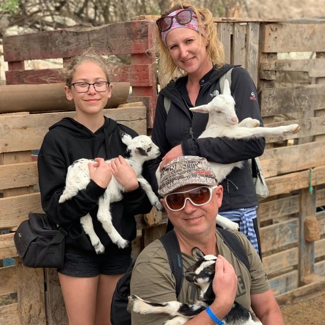 Island tour & cattle & Taste local flavors - Final Thoughts