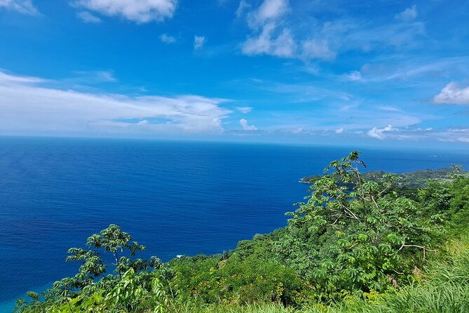 island-tour-food-and-drinks-include