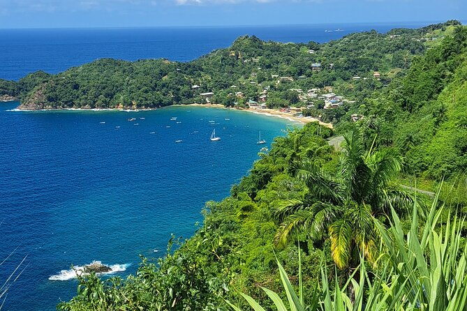 island-tour-food-and-drinks-include