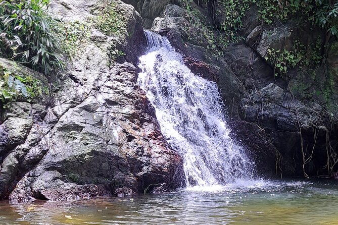 island-tour-food-and-drinks-include