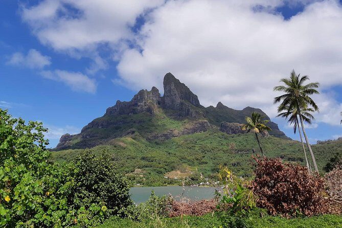Island Tour & Getaway on the Bora Bora Mountains by Quad / ATV - Detailed Review of the Bora Bora Quad/ATV Tour
