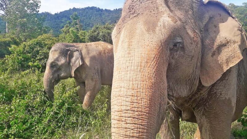 ISLAND TOUR VIP AROUND KOH SAMUI FULL DAY RARE SIGHTSEEING - Who Would Love This Tour?