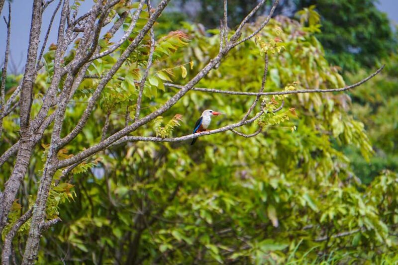 Island tour with German-speaking guide for cruise guests - An Overview of the Santiago Island Tour
