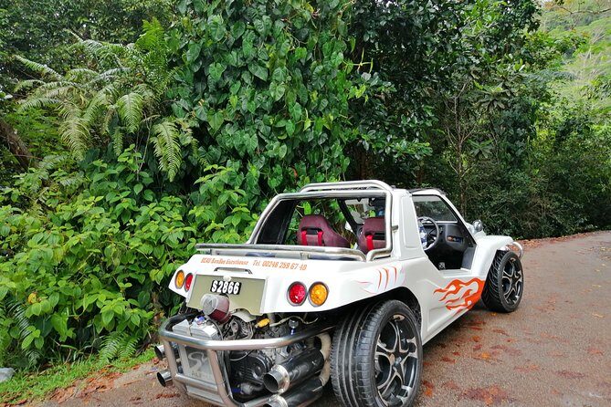 Island tour with the beach buggy - Key Points