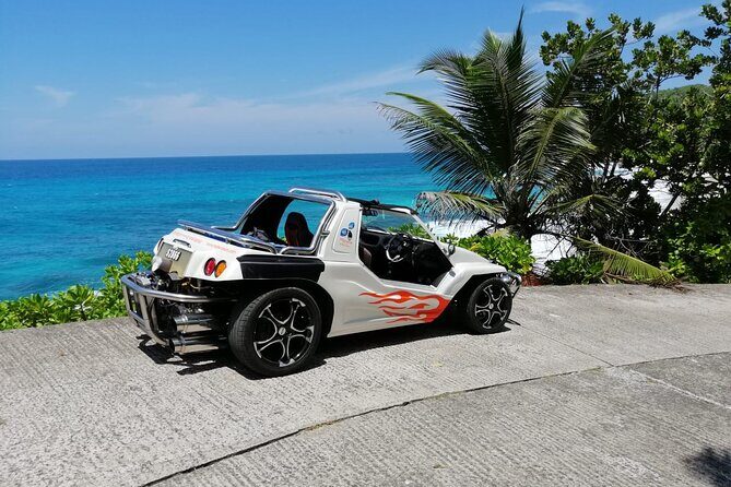 Island tour with the beach buggy - Who Will Love This Tour?