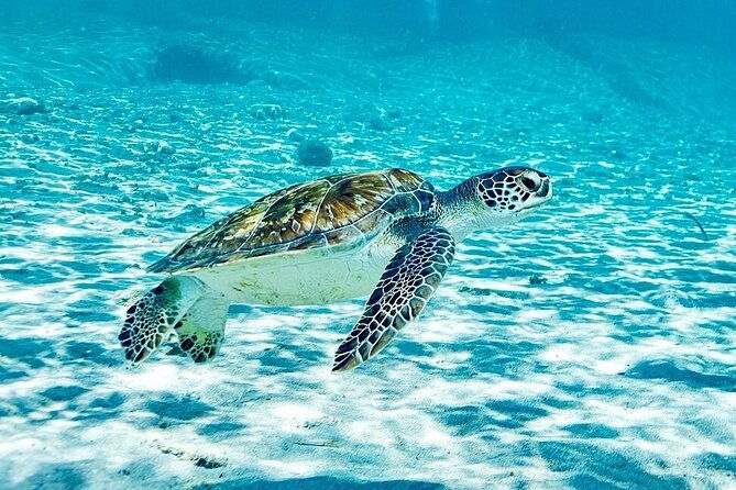 island-treasures-caves-turtles-and-turquoise-beach-break