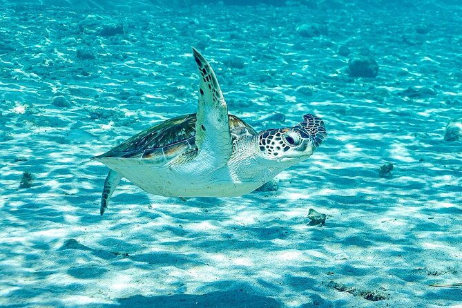 island-treasures-caves-turtles-and-turquoise-beach-break