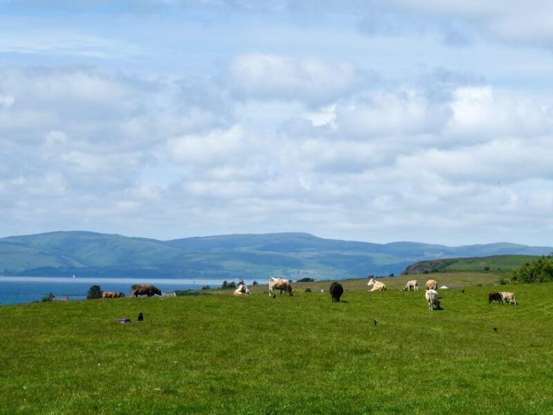 isle-of-arran-exclusive-private-farm-tour-with-the-farmer