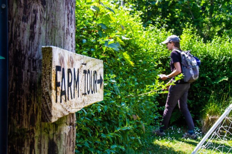 isle-of-arran-exclusive-private-farm-tour-with-the-farmer