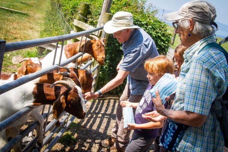 isle-of-arran-exclusive-private-farm-tour-with-the-farmer