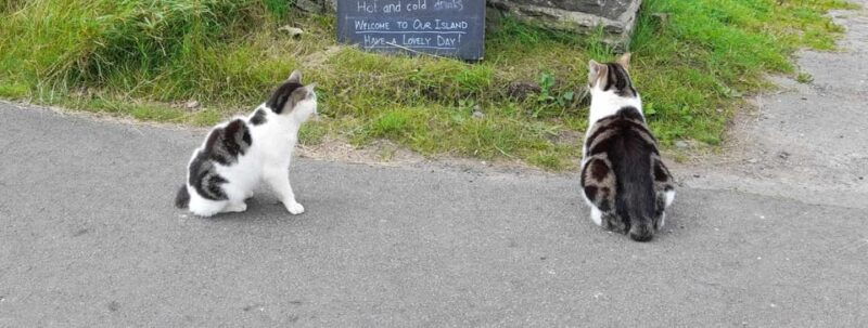 isle-of-man-discovery-tour-a-whistle-stop-all-island-tour