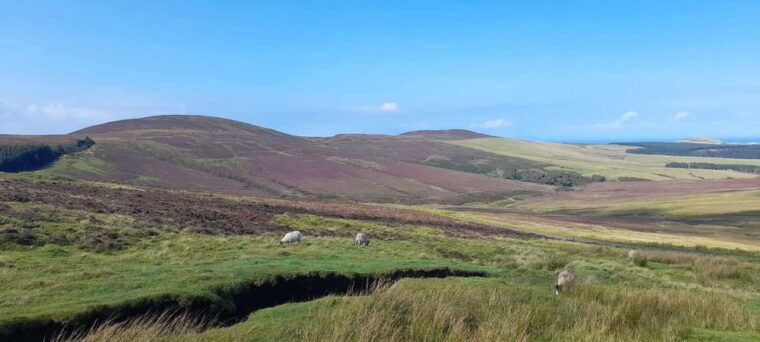 isle-of-man-discovery-tour-a-whistle-stop-all-island-tour