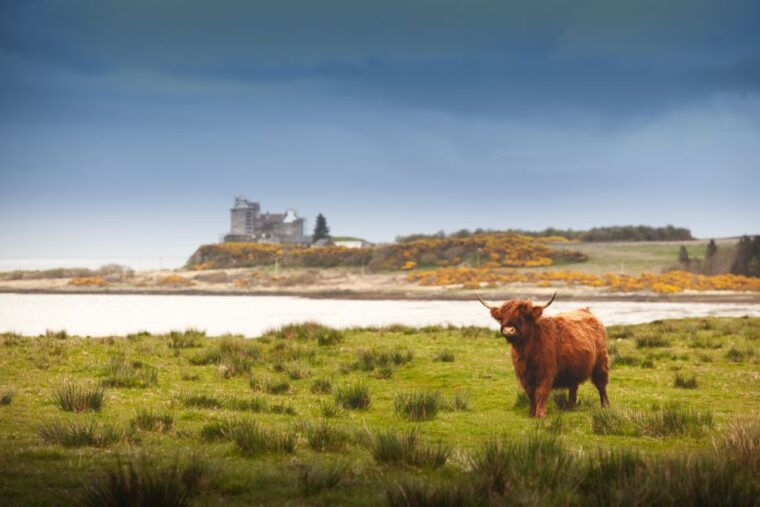 isle-of-mull-and-iona-3-day-small-group-tour-from-glasgow