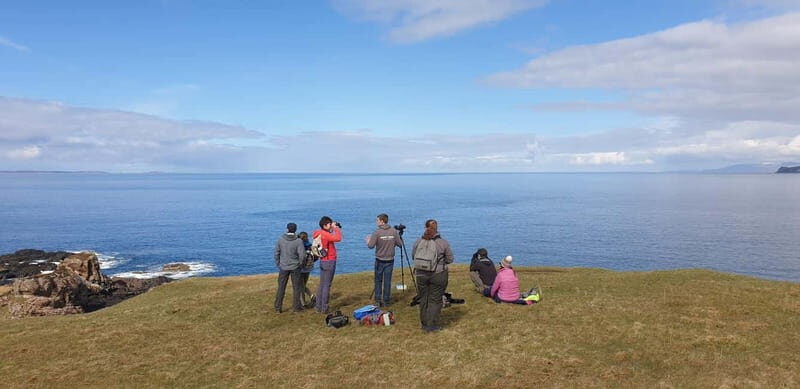 Isle of Mull: Guided Wildlife Watch at Glengorm Castle - Exploring the Isle of Mull: A Guided Wildlife Walk at Glengorm Castle