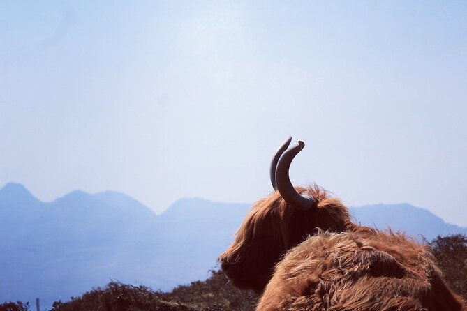 isle-of-skye-and-fairy-pools-day-tour-leaving-from-portree