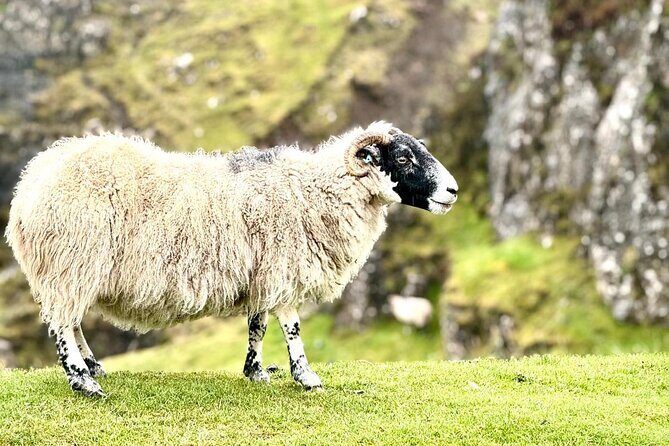 Isle of Skye from Inverness Private Tour - Who Would Love This Tour?