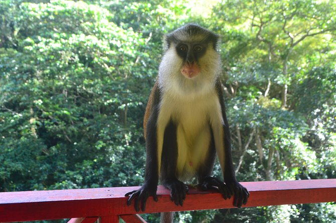 isle-of-spice-adventure-tour