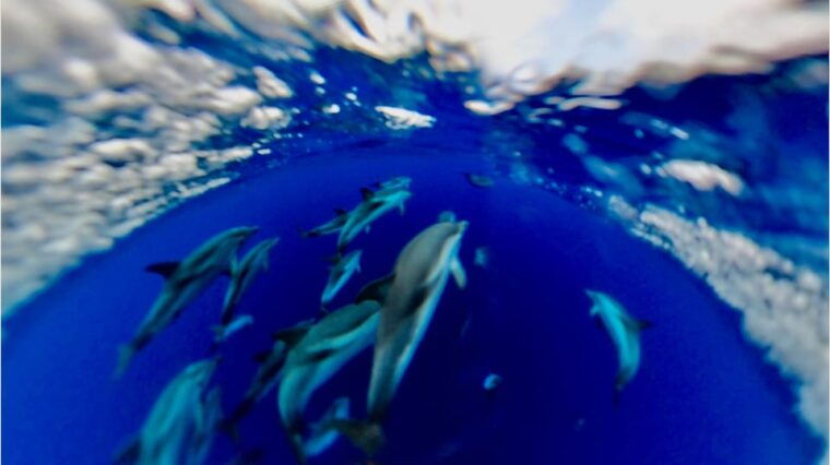 isola-bella-blue-grotto-boat-tour-snorkeling-aperitif