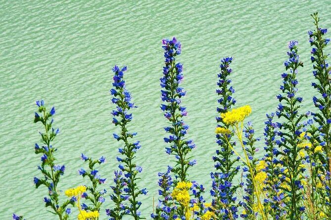 Issyk Lake & Bear Waterfall In Turgen Gorge+Golden Man museum - Lunch and Local Cuisine