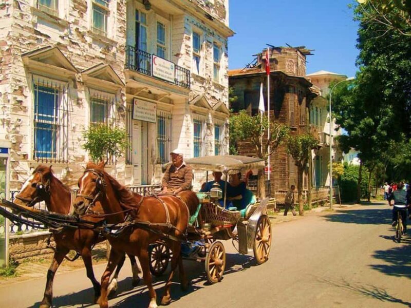 Istanbul: 3 Princes' Islands Cruise with Lunch and Guide - Lunch on Board: A Taste of Turkey