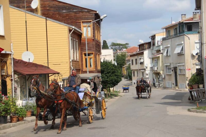 Istanbul: 3 Princes' Islands Cruise with Lunch and Guide - The Practicalities: Transportation, Timing, and Tips