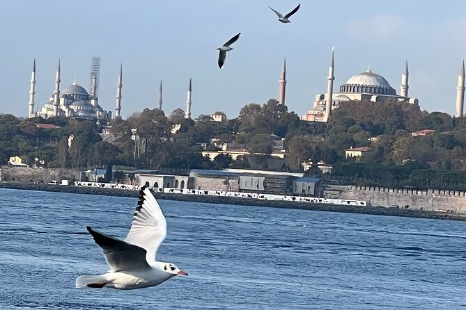 istanbul-airport-or-cruise-ship-private-layover-tour