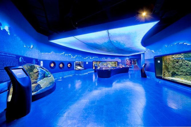 istanbul-aquarium-and-aqua-florya-independent-shopping-trip