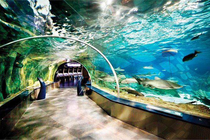 istanbul-aquarium-and-aqua-florya-independent-shopping-trip