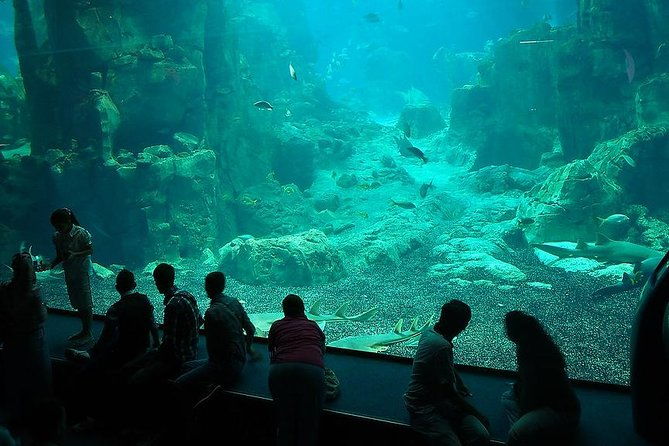 istanbul-aquarium-and-aqua-florya-independent-shopping-trip