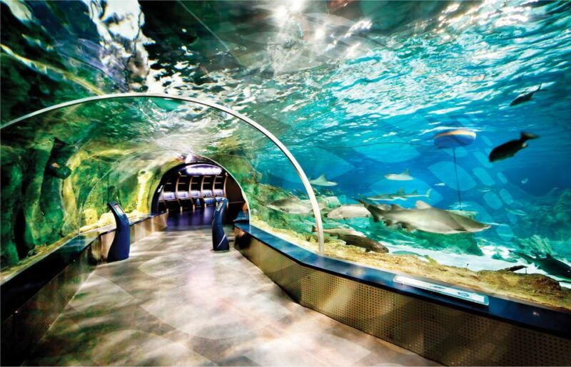 istanbul-aquarium-and-aqua-florya-shopping-mall-tour